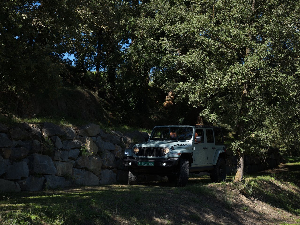Un Jeep Wrangler Rubicon junto a un árbol, en un camino de tierra